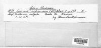 Image Associated With the Occurrence